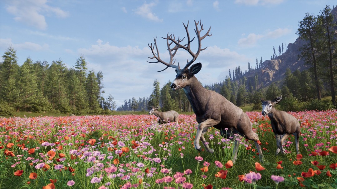 3月最后一周Steam新作满满，Way of the Hunter 2等值得期待