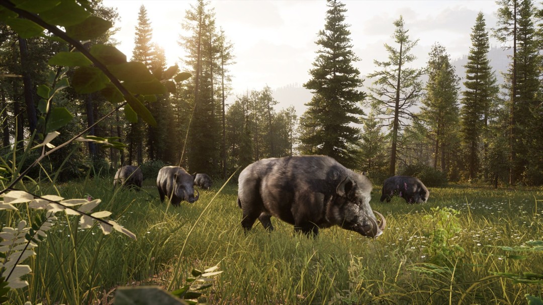 3月最后一周Steam新作满满，Way of the Hunter 2等值得期待