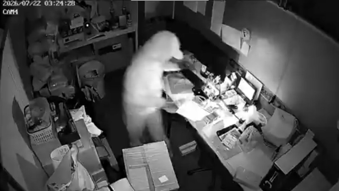 百万悬赏抓贼!日本卡牌店被盗,店主悬赏活捉嫌犯